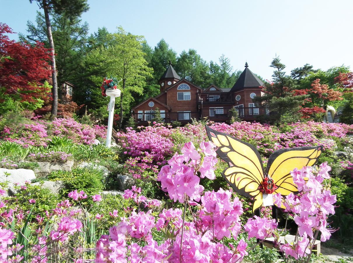 Korea Quality Elf Hotel Pyeongchang Exterior photo